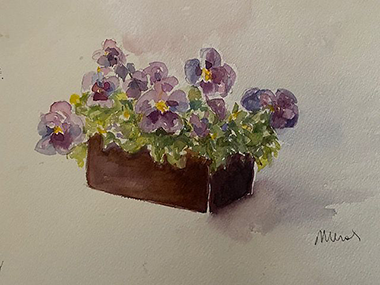 Box of Pansies, watercolour painting by Meral Altinbilek