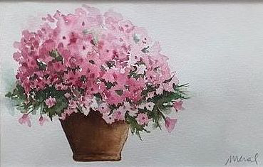 Potted Pink, watercolour painting by Meral Altinbilek