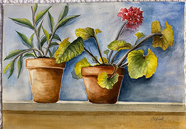 Potted Plants, watercolour painting by Meral Altinbilek