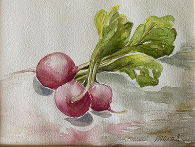 Radishes, watercolour painting by Meral Altinbilek